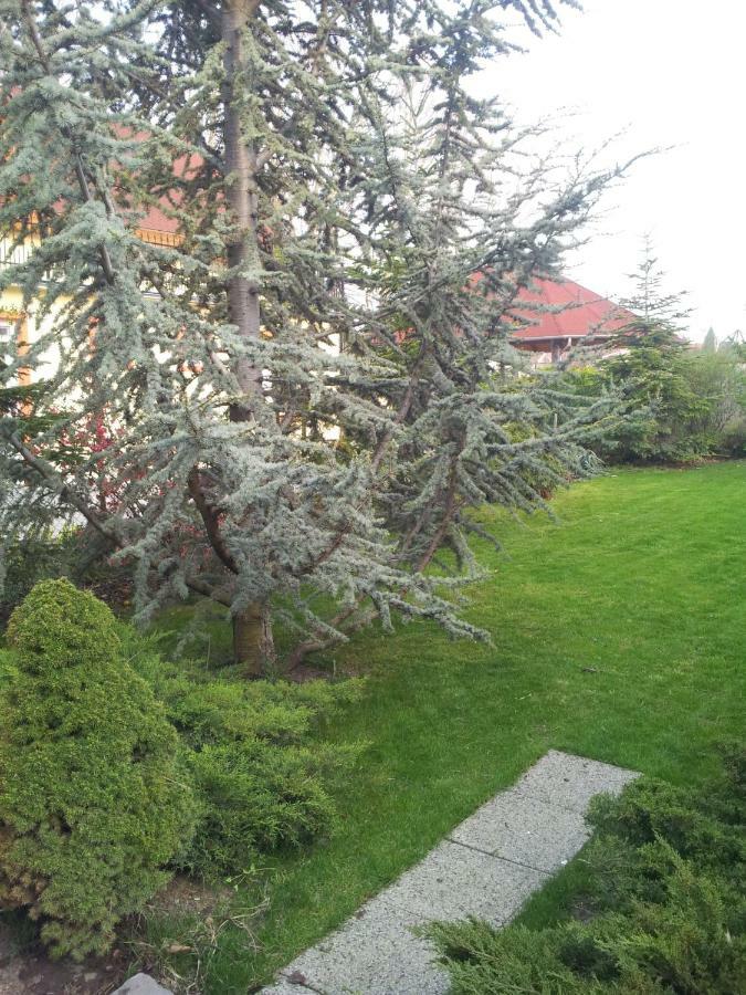 Anna Villa Balatonlelle Exterior photo